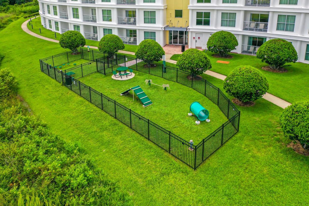 Pet Friendly In Orlando Area Near Disney Celebration Exterior foto