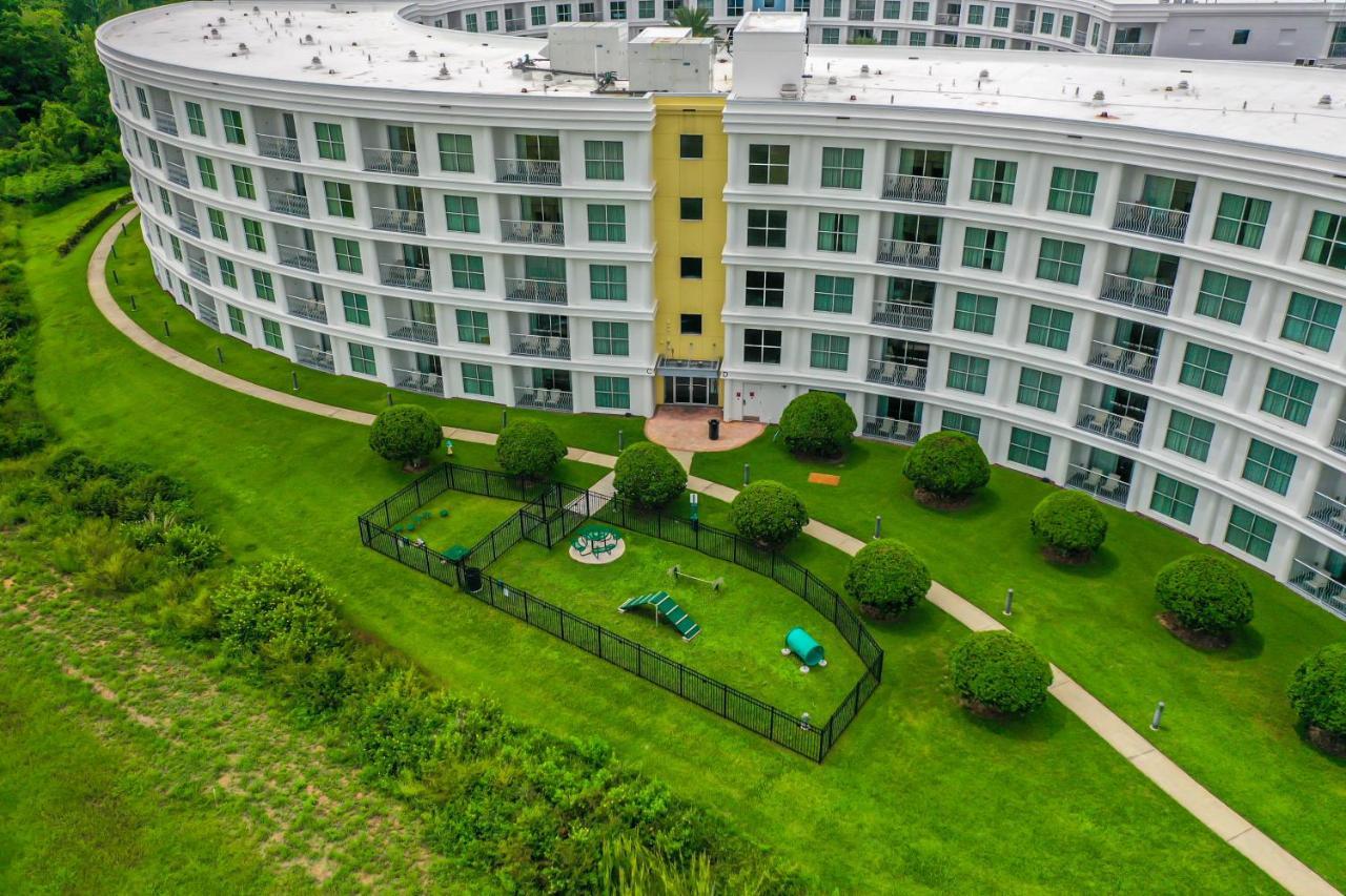 Pet Friendly In Orlando Area Near Disney Celebration Exterior foto